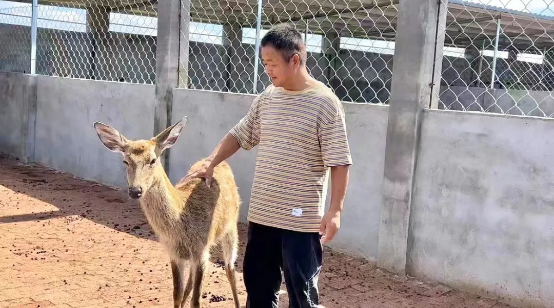 波克捕鱼微信qq新版下载